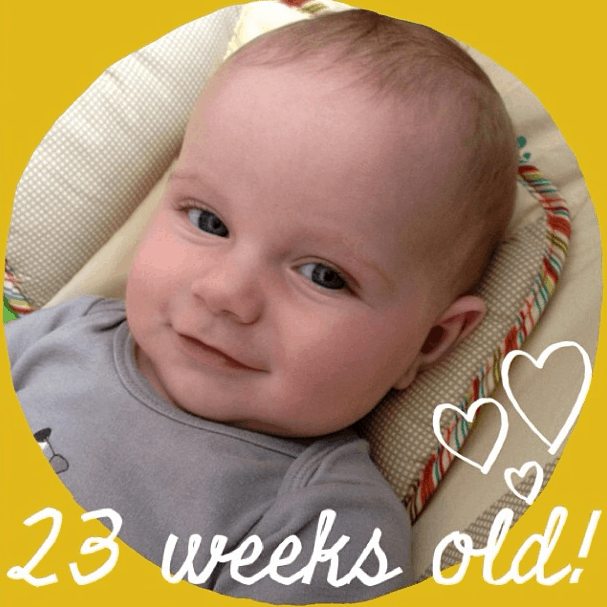 babyshilts