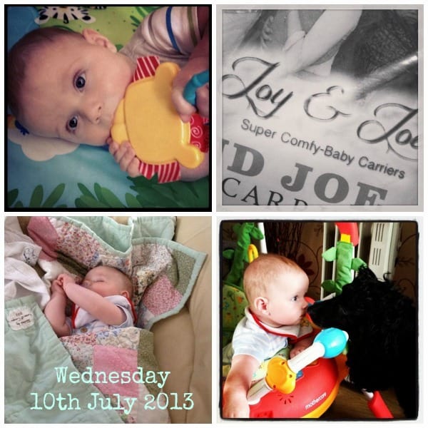 wednesday collage2t