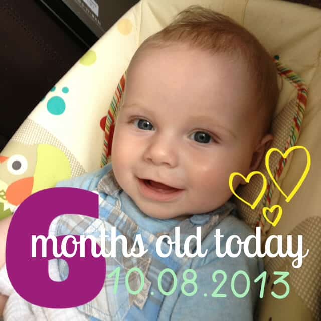 babyshilts 6 months old little mr