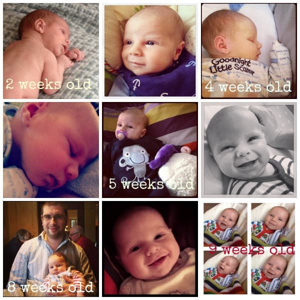PicMonkey Collage2