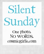 Silent Sunday 18.08.2013