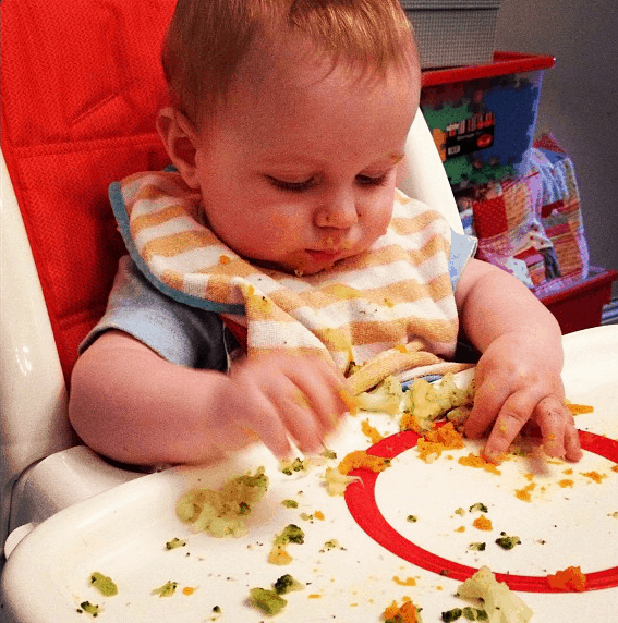 fisher price evolve highchair