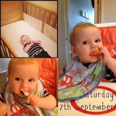 saturday