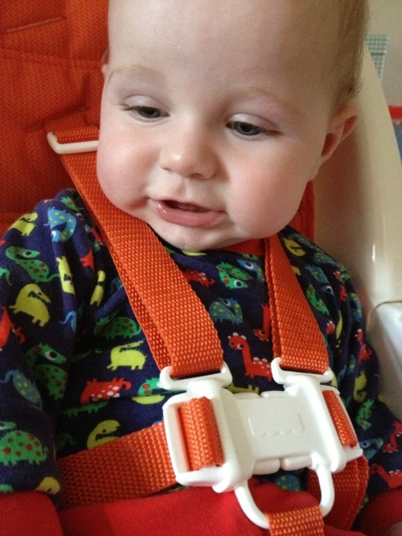 fisher price evolve safety harness