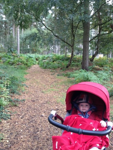 TotsCP3
