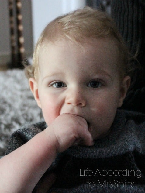 LM 12 months