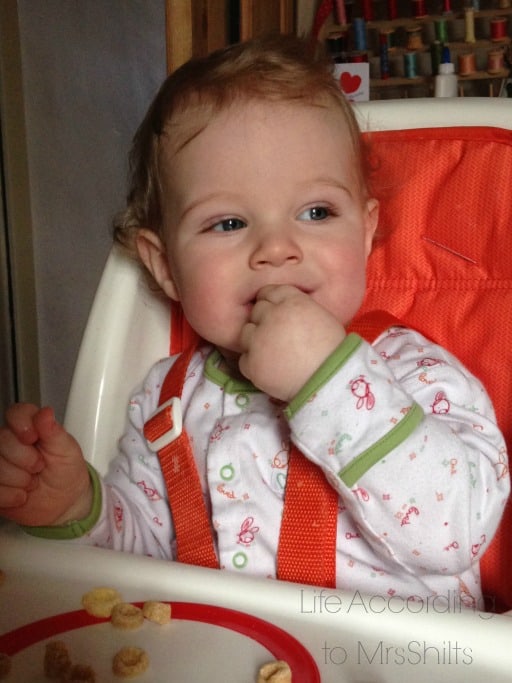 little mr food
