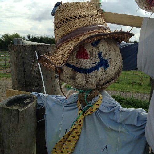 National Forest Adventure Farm