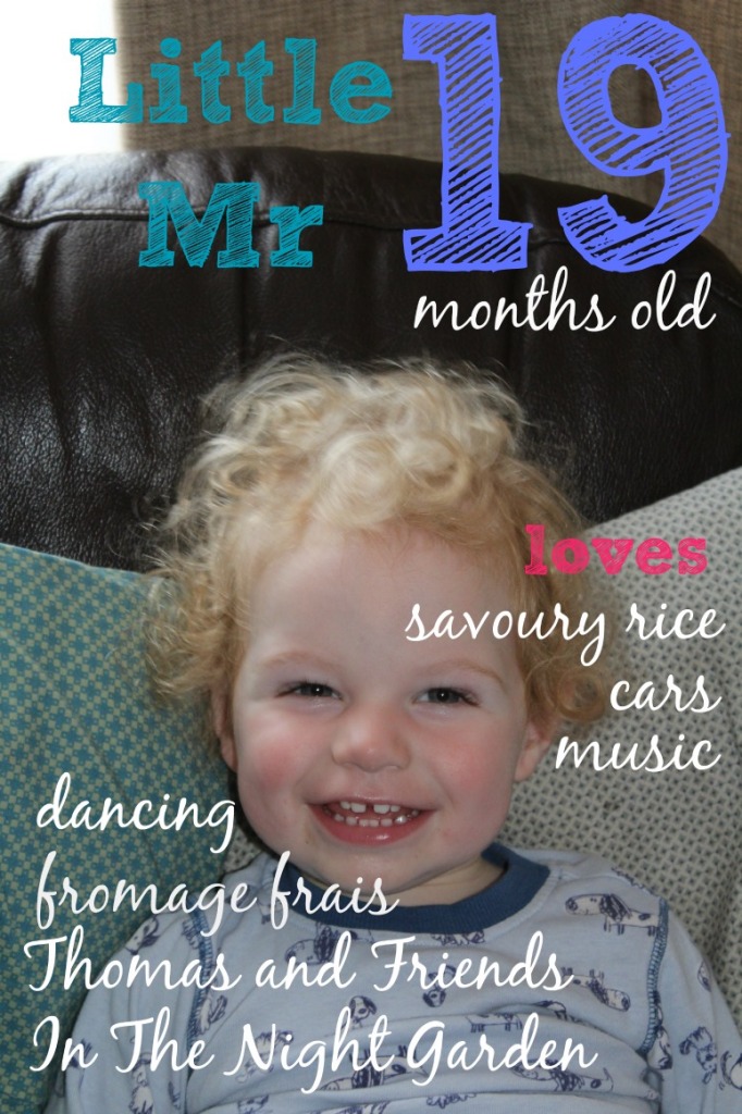 Little Mr 19 months