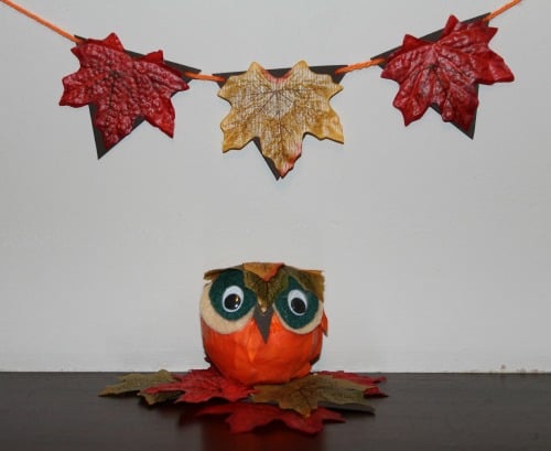 owl 4