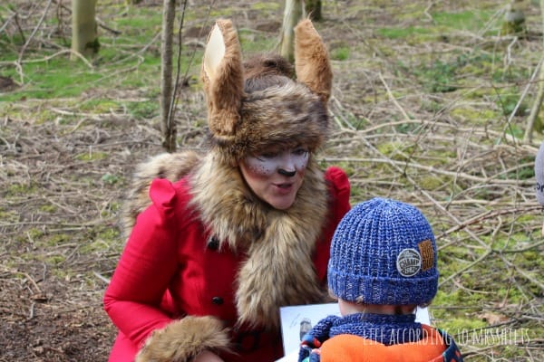 National Forest Adventure Farm