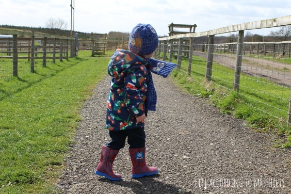 National Forest Adventure Farm