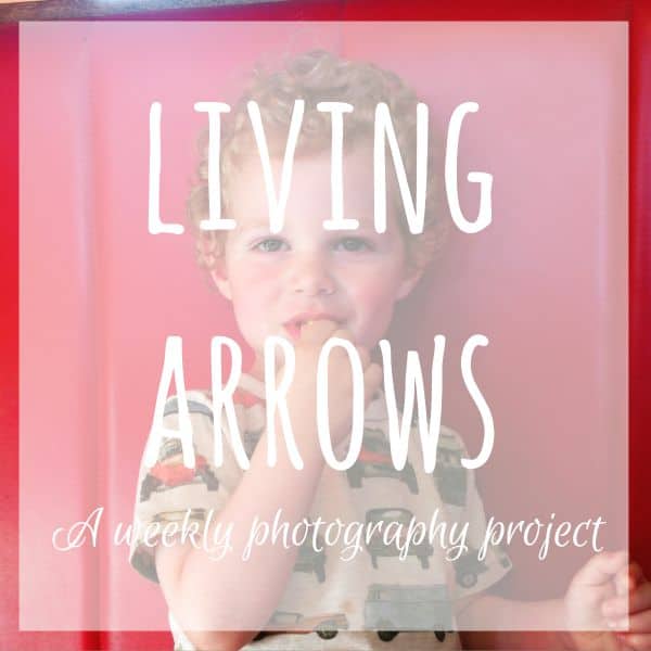 Living Arrows 2015 – Week 52