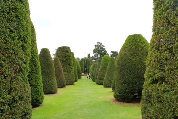 Packwood House