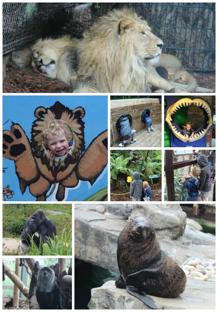 Bristol Zoo