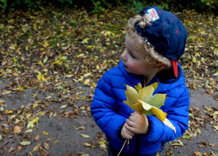 Living Arrows MrsShilts