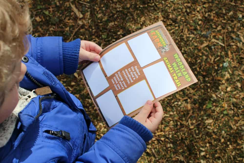 National Forest Adventure Farm - Woodland Walk Animal Trail