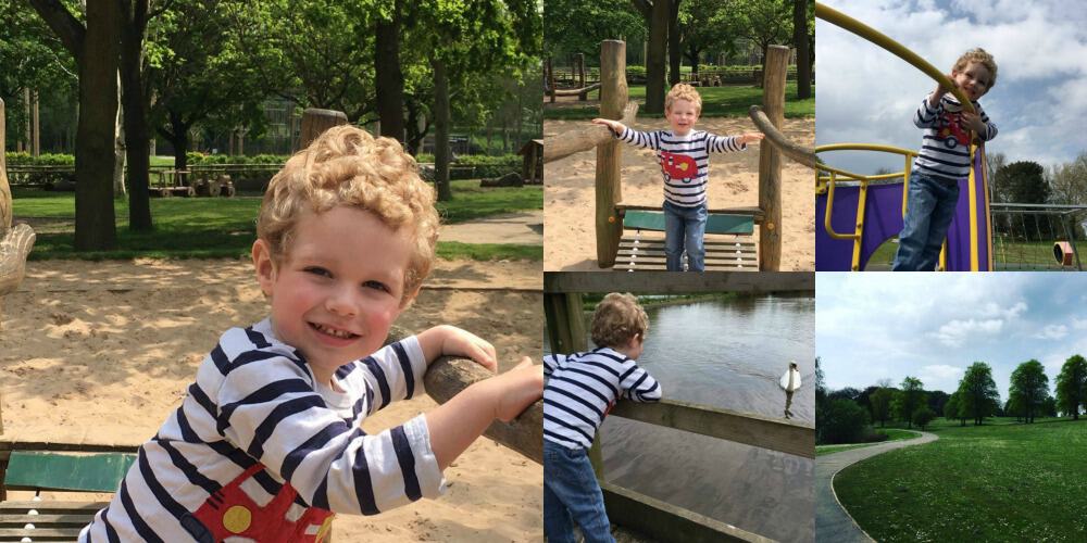 Park collage