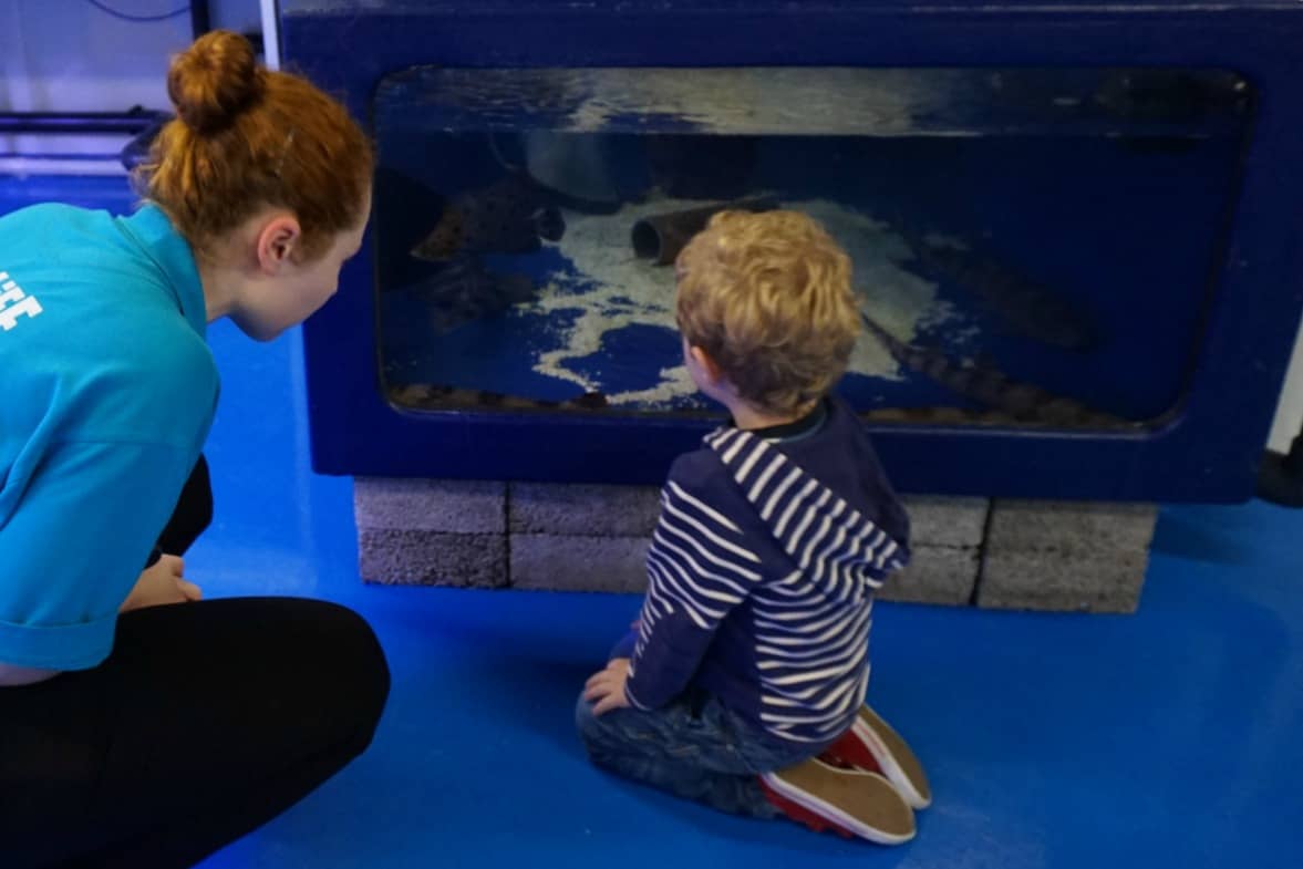 Behind the scenes Tour SeaLife Birmingham