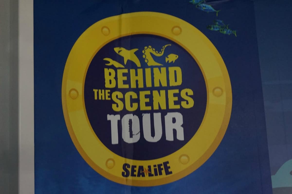 Behind the scenes Tour SeaLife Birmingham