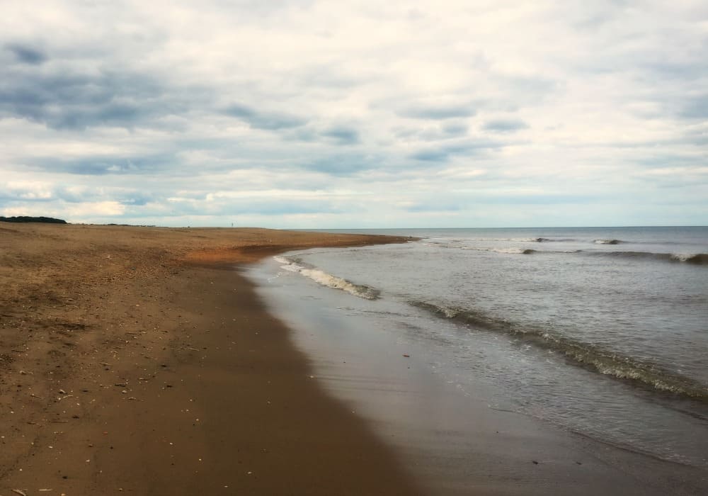 Beach day