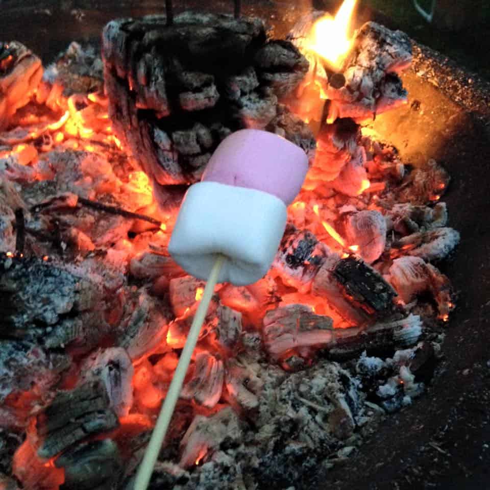 toasting marshmallows firepit