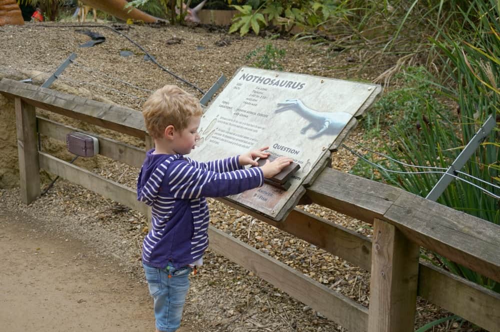 Dino Trail