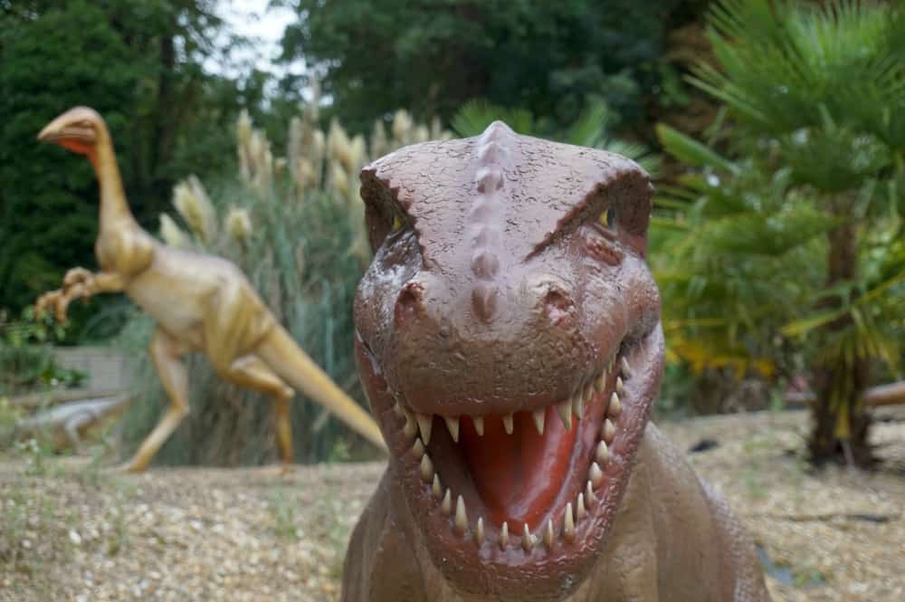 Dino Trail