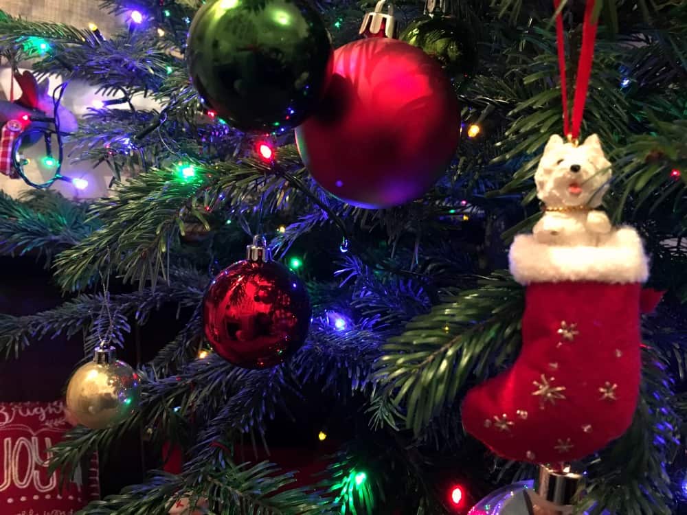 Pines and Needles Christmas Tree review