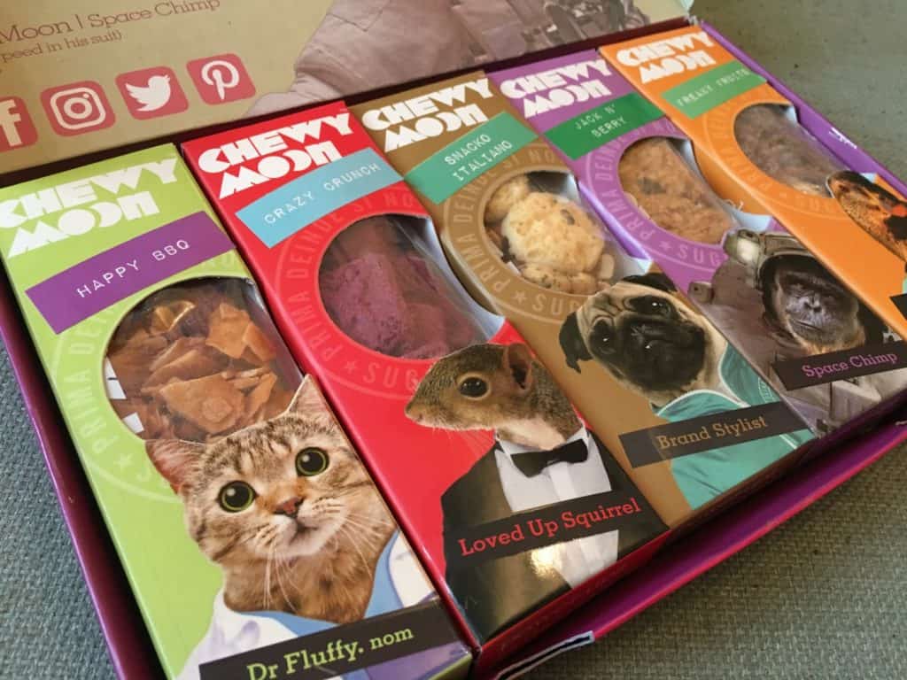 ChewyMoon Snack Box