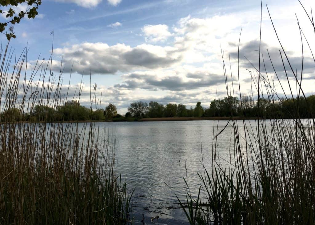 Cotswold Water Park