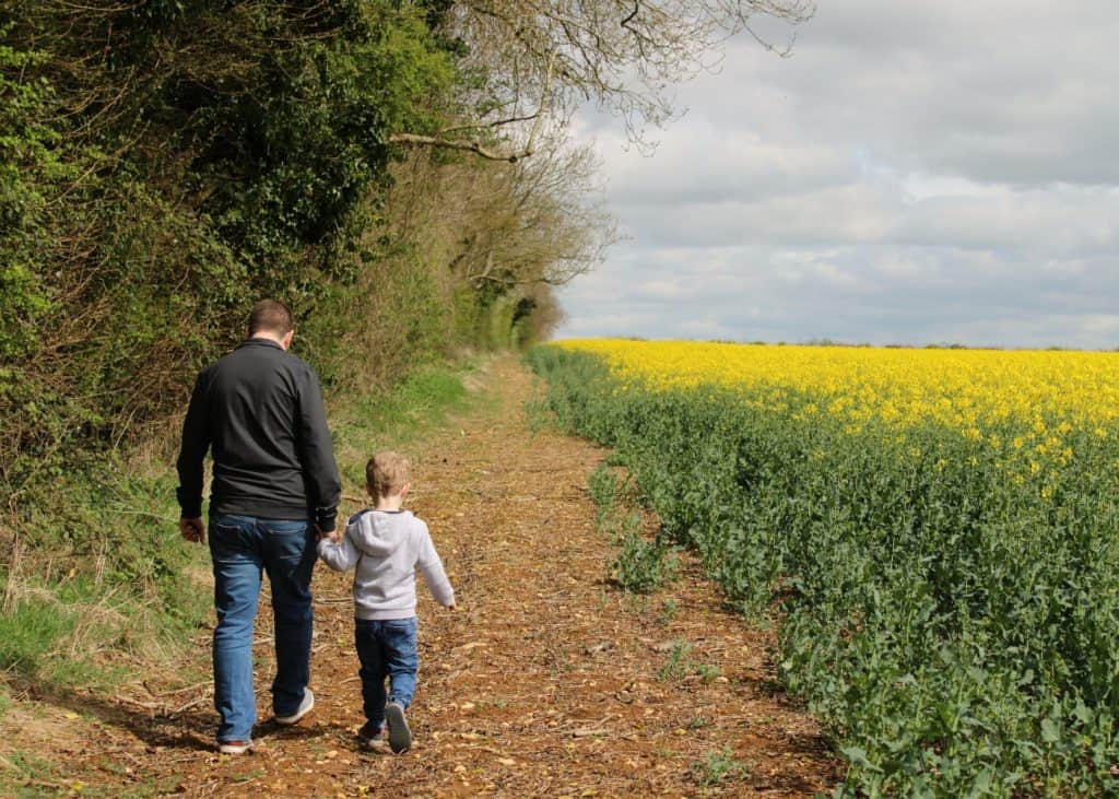 Cheltenham Cotswolds Yellow Fields