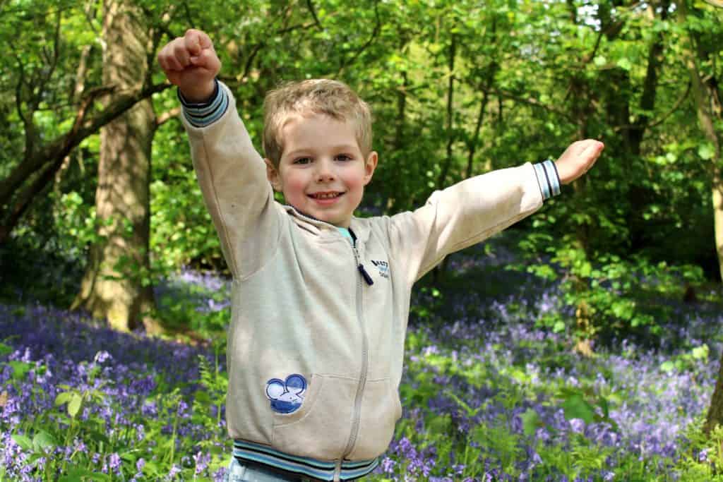 Lodge Hill Bluebells