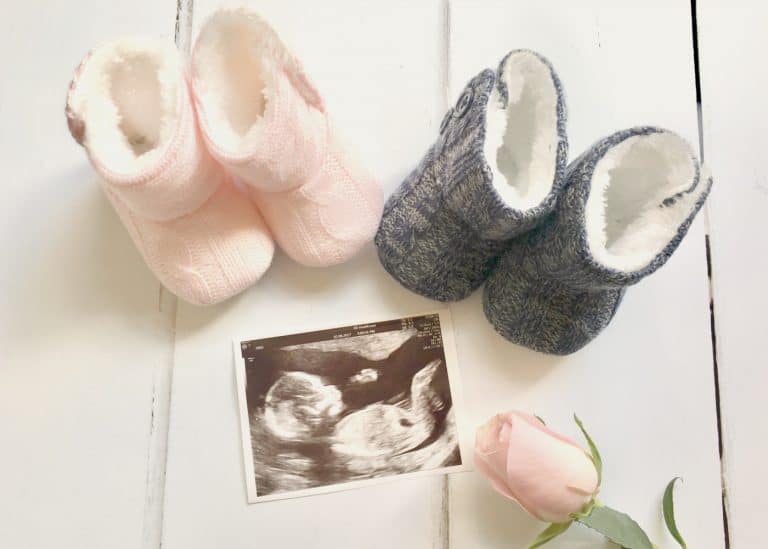Pink or Blue Gender Reveal