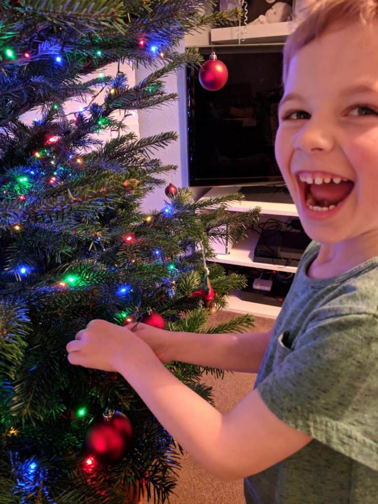 Pines and Needles tree Olly 2017