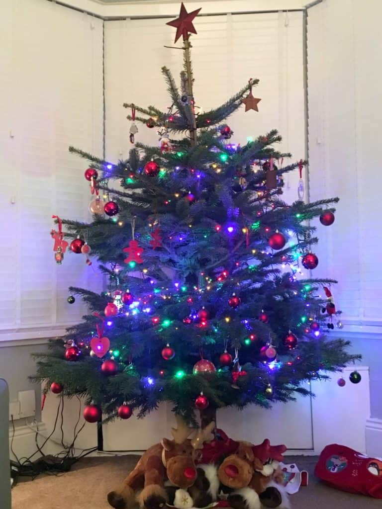 PinesNeedles Tree
