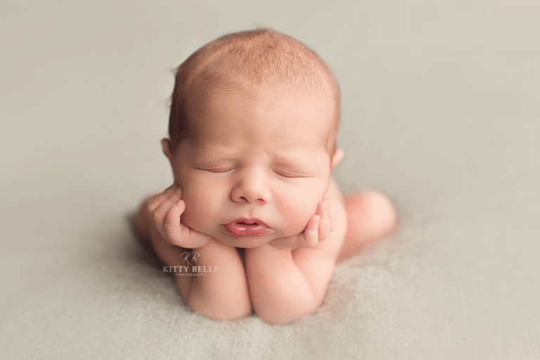 Freddie by Kitty Belle Photography