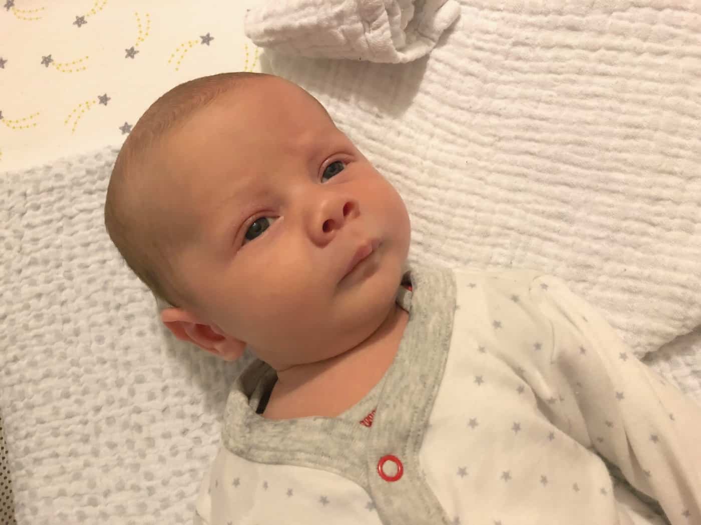 Freddie four weeks