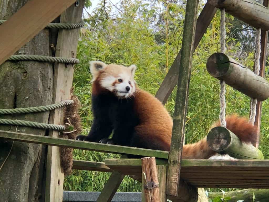 Paradise Wildlife Park