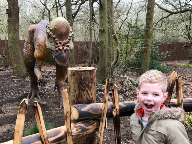 World of Dinosaurs Paradise Wildlife Park