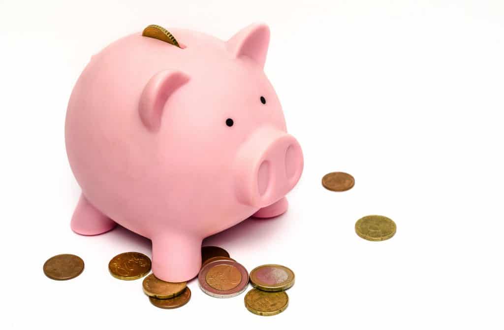 save money pig