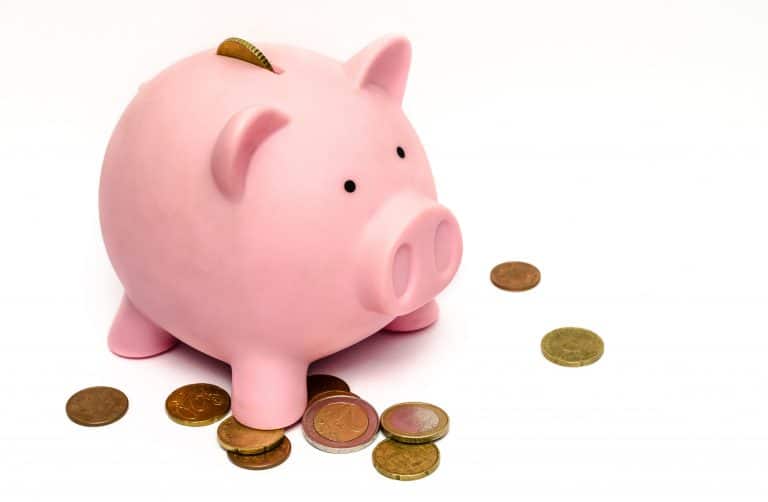 save money pig