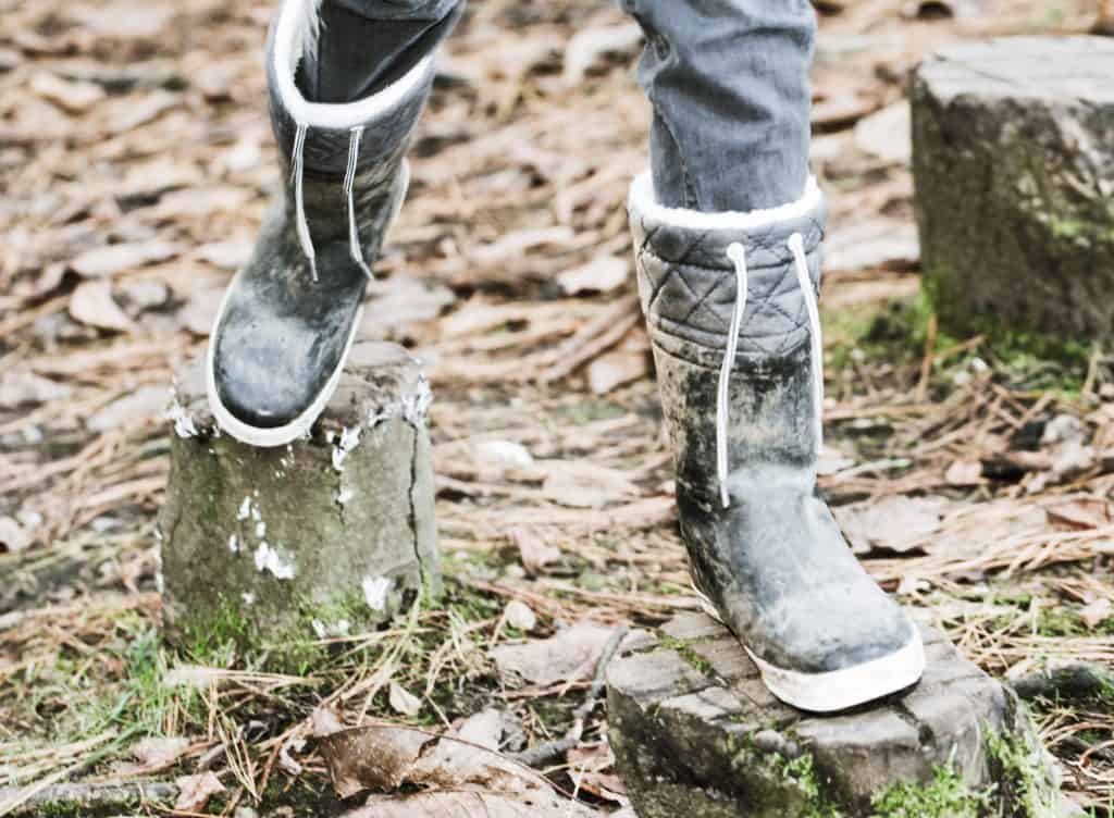 tree stumps