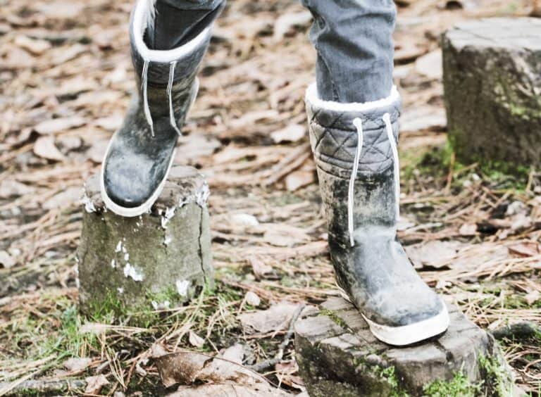 tree stumps