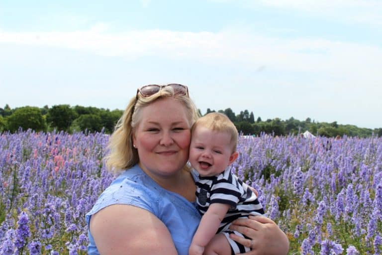 confetti flower fields Pershore