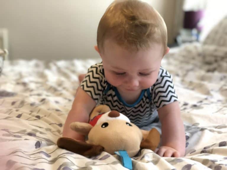 Freddie 7 months