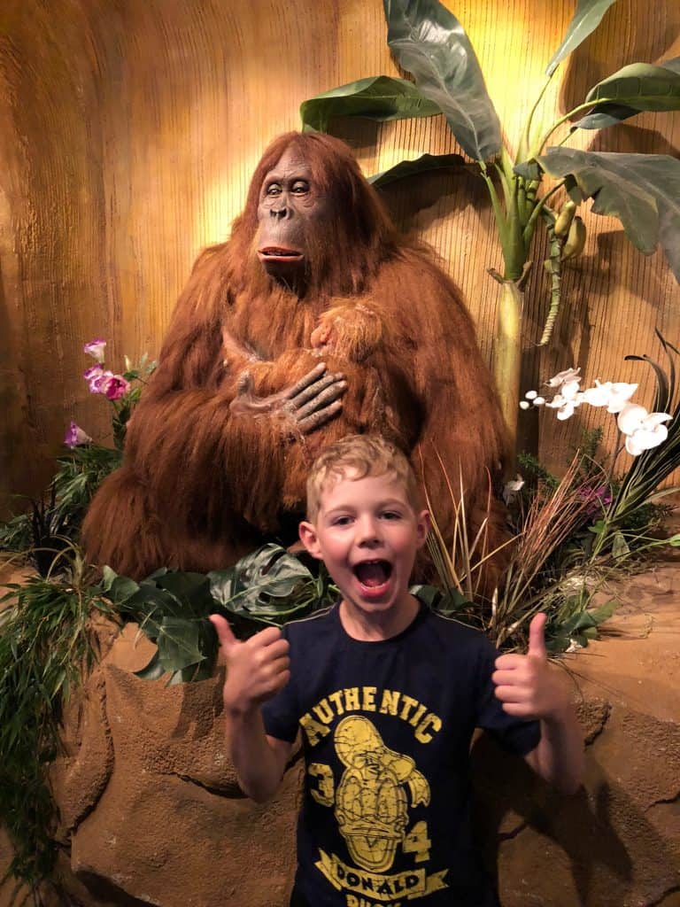 Rainforest Cafe
