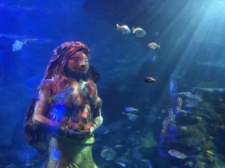 National Sea Life Centre Birmingham