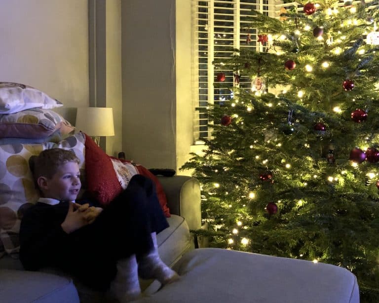 Olly Christmas Tree