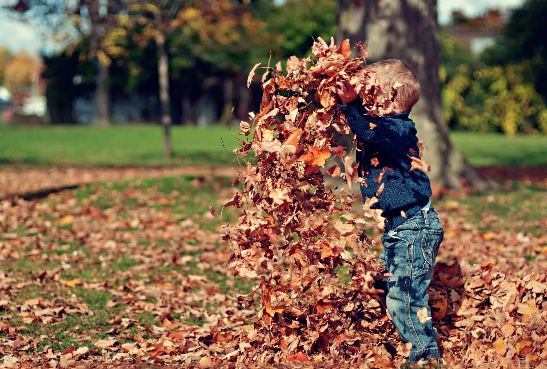 Autumn Leaves Child Play Fun